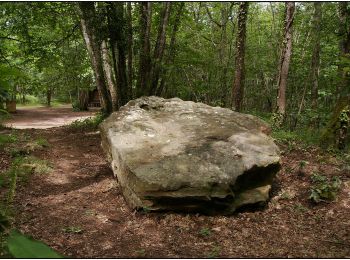 Randonnée A pied Sarlat-la-Canéda - Chemin Harrison Barker (Vallée Dordogne) - Photo