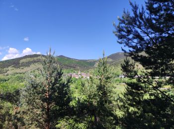 Randonnée Marche Prades - Prades 09 - Photo