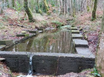 Randonnée Marche Camors - PR_56_Camors_BA_02_L-Eau_Circuit1b_20230218 - Photo