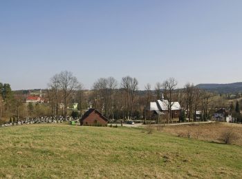 Percorso A piedi Czarna Dolna - Ścieżka przyrodnicza Siedlisko - Photo