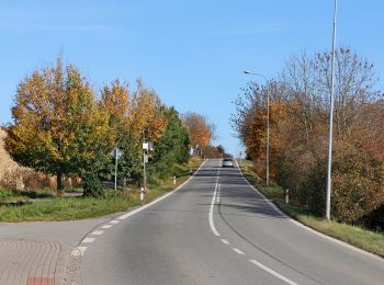 Tour Zu Fuß Hohenmauth - NS Vinice - Photo