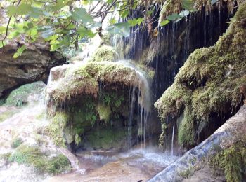 Excursión Senderismo Montauroux - Le long de la Siagne du Pont de la Siagne D2562 Bambouseraie - Photo