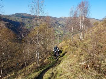 Tocht Stappen Arrens-Marsous - Arrens Marsous G3 2024 aulhe - Photo