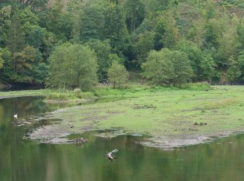 Tocht Te voet Simmerath - Rur-Panoramaweg - Photo