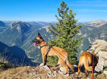 Tour Wandern Glières-Val-de-Borne - 2022- Rochers de Leschaux - AR - Photo