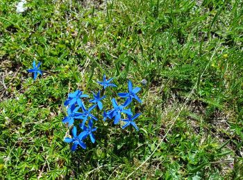 Trail Walking Valloire - plan Lachat - les Mottets -lac des Cerces  - Photo