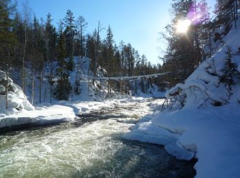 Tour Zu Fuß Kuusamo - Pieni Karhunkierros - Photo