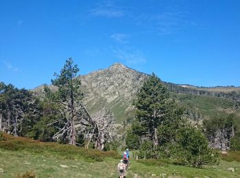 Excursión Senderismo Formiguères - Pic de Mortiers - Photo