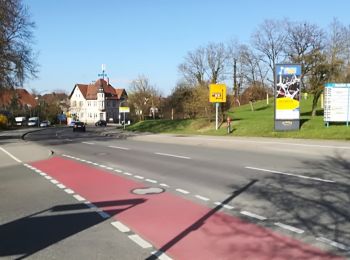 Excursión A pie Singen (Hohentwiel) - Singen - Riedöschingen - Photo