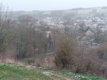 Randonnée Marche Jussy - JUSSY - gelée blanche - Photo