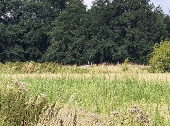 Excursión Senderismo Jemeppe-sur-Sambre - autour de la roche qui tourne - Photo