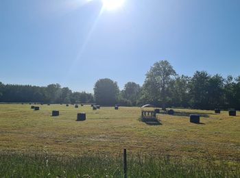 Randonnée Marche Moÿ-de-l'Aisne - parcours Moy de l'Aisne - Vendeuil - Photo