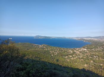 Tour Wandern Carqueiranne - Trois forts vers les Oursinieres  - Photo