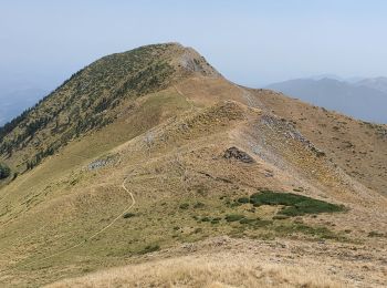 Tocht Stappen Juzet-d'Izaut - pic du cagire - Photo