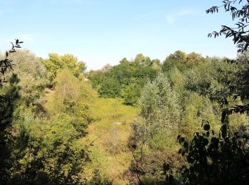 Tour Zu Fuß Gemeinde Müllendorf - Hoad2 (Müllendorfer Walkingstrecken) - Photo