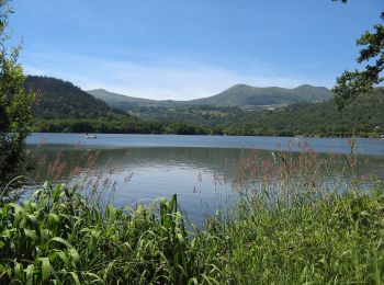 Percorso A piedi Mont-Dore - Le Mont-Dore / Lac Chambon - Photo