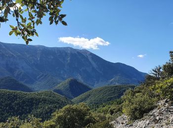 Tocht Stappen Brantes - Brantes - Savoillan - Photo