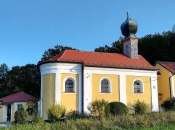 Percorso A piedi Bad Abbach - Jurasteig Kaiser-Thermen-Schlaufe - Photo