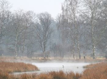 Tour Zu Fuß Henstedt-Ulzburg - Rundweg um Alsterniederung und Schlappenmoor - Photo