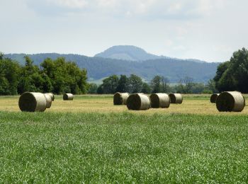 Tocht Te voet Morschen - Niederellenbach Rundweg N3 - Photo