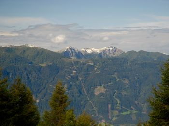 Tour Zu Fuß Millstatt am See - Alexanderhütte-Sommeregger Hütte - Photo