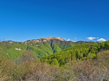 Tour Zu Fuß Santa Margherita di Staffora - IT-140 - Photo