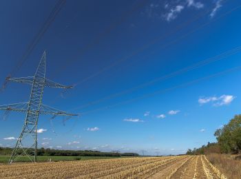 Tour Zu Fuß Gartz (Oder) - DE-Gebietswanderweg Stolzenburg-Geesow? - Photo