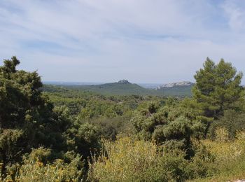 Excursión Bici eléctrica Les Baux-de-Provence - Baux Eygalières St Rémy Baux - Photo