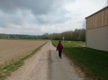 Excursión Senderismo Beauvechain - Tourinne -Hamme-Mille - Photo