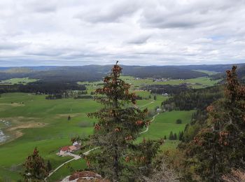 Tocht Stappen Bellefontaine - Le Risoux -  la Roche Bernard - Photo