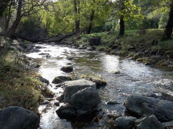 Tour Wandern Pégairolles-de-l'Escalette - Falaises de l'Escalette - Photo