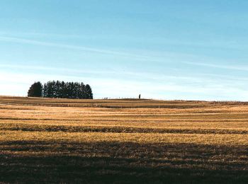 Tour Wandern Aydat - Fohet_Landes - Photo