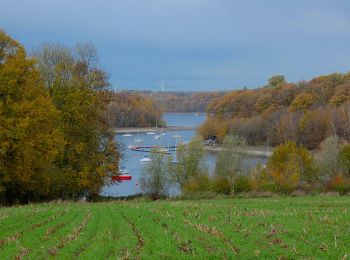 Randonnée A pied Froidchapelle - Balade au Lac de l'Eau d'Heure - Photo