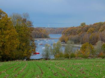 Tour Zu Fuß Froidchapelle - Balade au Lac de l'Eau d'Heure - Photo