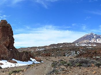 Tour Zu Fuß La Orotava - S-30 Los Valles - Photo