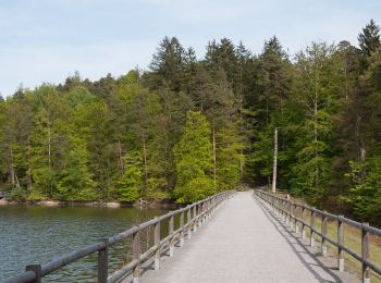 Tocht Te voet Onbekend - DE-SAV Roter Punkt, Solitude - Vaihingen - Photo