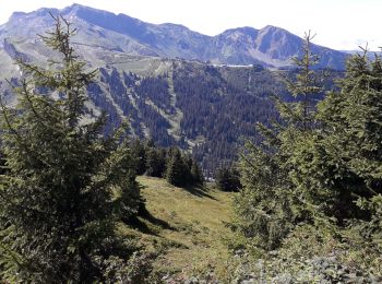 Randonnée Marche Abondance - Tete des lindarets - Photo