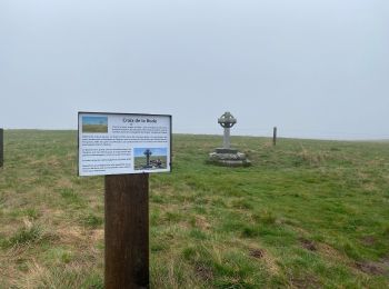 Trail Walking Saint-Chély-d'Aubrac - Étape 3 Saint Gilhem  - Photo