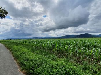 Tour Wandern Labarthe-Rivière - Camon - Photo