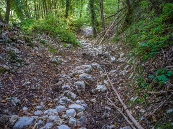 Excursión A pie Vobarno - Bagnolo - Roccolo Albio - Cascina Trat - Photo