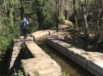 Tour Wandern Prades - Canal de Boera - Abbaye St Michel-de-Cuxa - Taurinya - Tour de Corts en boucle - Photo