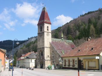 Randonnée A pied Gemeinde Gloggnitz - Schottwien - Eichberg - Photo