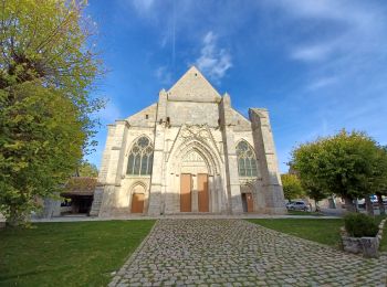 Percorso A piedi Saint-Sulpice-de-Favières - Randonnée Saint-Sulpice-de-Favieres n°2 - Photo