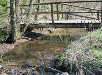 Trail On foot Hellenthal - Wasseramselpfad - Photo