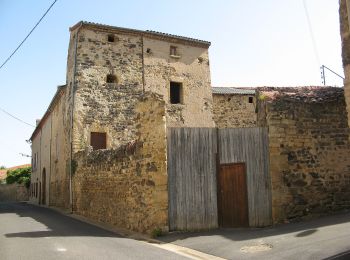 Excursión A pie Gignat - Les Coteaux et la Chaux - Photo