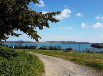 Excursión Senderismo Le Minihic-sur-Rance - notre dame de la miette  - Photo