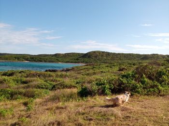 Tour Wandern Le Moule - Anse Petite Savane - Anse à l'Eau 2 - Photo