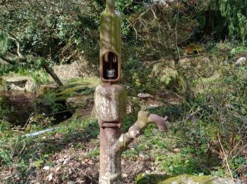 Trail Walking Châteauneuf-du-Faou - CHÂTEAUNEUF DU FAOU - Photo