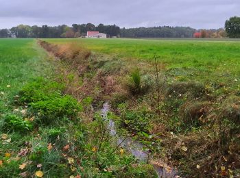 Randonnée A pied Fintel - Nordpfad 'Osterberg' - Photo