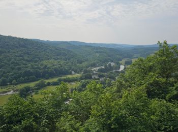 Tour Wandern Bertrix - Balade à Cugnon et Mortehan - Photo
